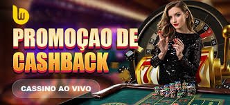 bdbig